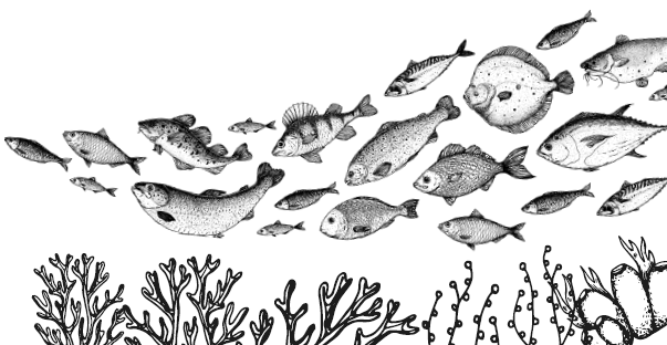 Иллюстрация к книге — Занимательная география [i_082.jpg]