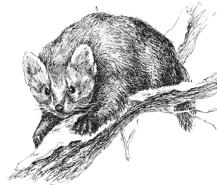 Иллюстрация к книге — Занимательная география [i_104.jpg]