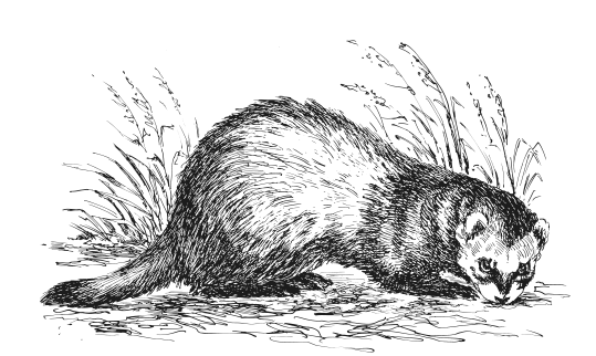 Иллюстрация к книге — Занимательная география [i_106.jpg]