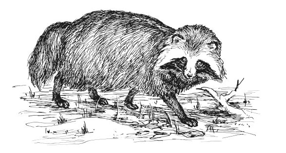 Иллюстрация к книге — Занимательная география [i_111.jpg]