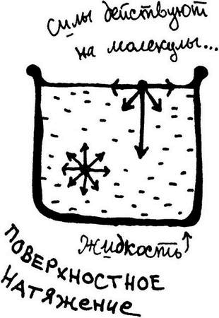 Иллюстрация к книге — Физика без формул [i_018.jpg]