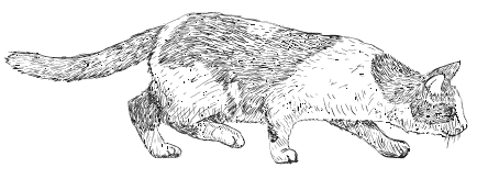 Иллюстрация к книге — Физика без формул [i_084.jpg]