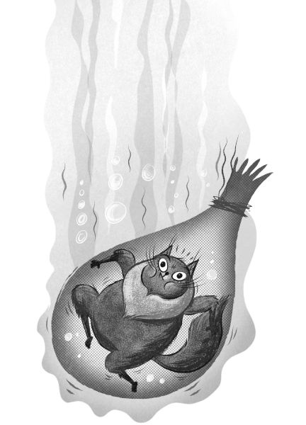 Иллюстрация к книге — Загадка котов-музыкантов [i_027.jpg]