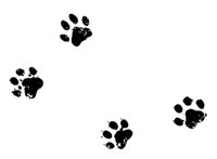 Иллюстрация к книге — Загадка котов-музыкантов [i_034.jpg]