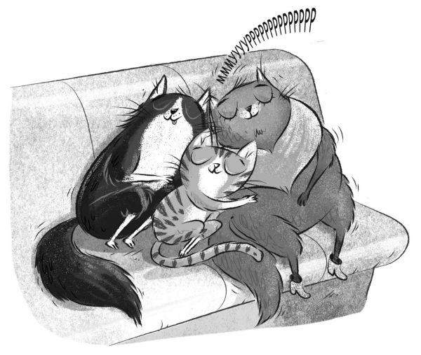 Иллюстрация к книге — Загадка котов-музыкантов [i_053.jpg]