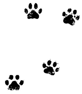 Иллюстрация к книге — Загадочное похищение [i_001.jpg]