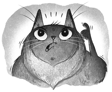 Иллюстрация к книге — Загадочное похищение [i_030.jpg]