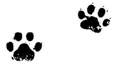 Иллюстрация к книге — Загадочное похищение [i_042.jpg]