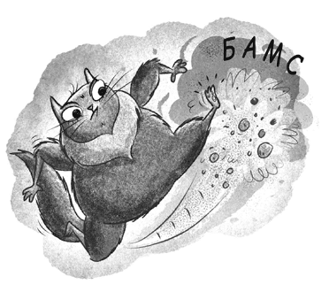 Иллюстрация к книге — Загадочное похищение [i_049.jpg]