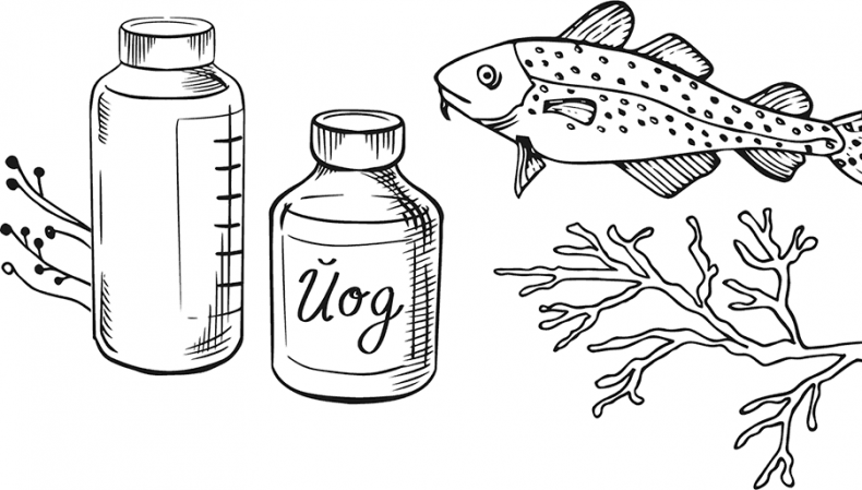 Иллюстрация к книге — «Моревизор» уходит в плавание, или Путешествие в глубь океана [i_003.jpg]