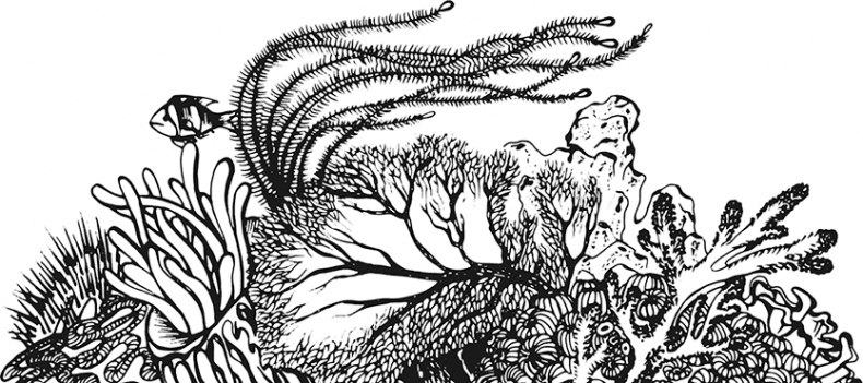 Иллюстрация к книге — «Моревизор» уходит в плавание, или Путешествие в глубь океана [i_005.jpg]