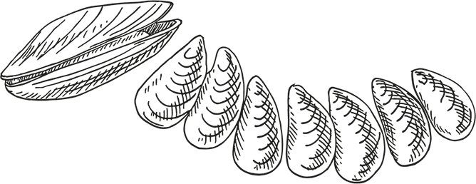 Иллюстрация к книге — «Моревизор» уходит в плавание, или Путешествие в глубь океана [i_036.jpg]