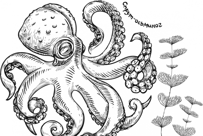 Иллюстрация к книге — «Моревизор» уходит в плавание, или Путешествие в глубь океана [i_051.jpg]