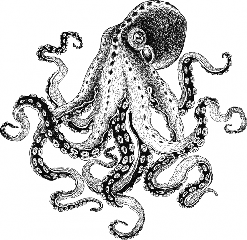 Иллюстрация к книге — «Моревизор» уходит в плавание, или Путешествие в глубь океана [i_053.jpg]