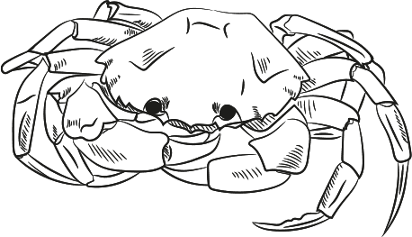 Иллюстрация к книге — «Моревизор» уходит в плавание, или Путешествие в глубь океана [i_054.jpg]