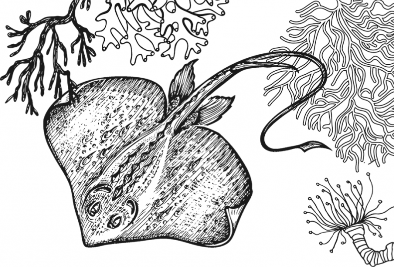 Иллюстрация к книге — «Моревизор» уходит в плавание, или Путешествие в глубь океана [i_055.jpg]