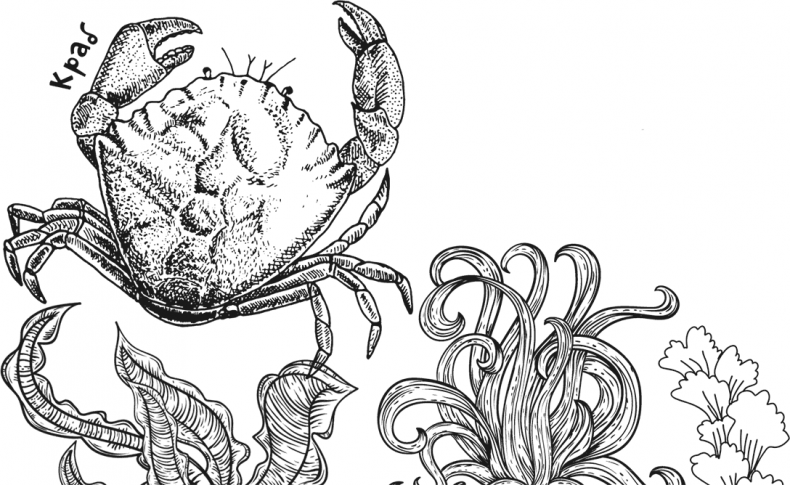 Иллюстрация к книге — «Моревизор» уходит в плавание, или Путешествие в глубь океана [i_056.jpg]