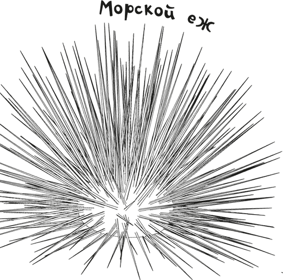 Иллюстрация к книге — «Моревизор» уходит в плавание, или Путешествие в глубь океана [i_057.jpg]