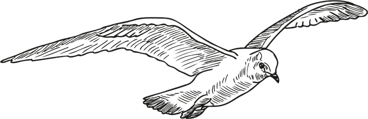 Иллюстрация к книге — «Моревизор» уходит в плавание, или Путешествие в глубь океана [i_063.jpg]