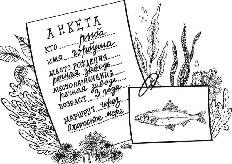 Иллюстрация к книге — «Моревизор» уходит в плавание, или Путешествие в глубь океана [i_074.jpg]