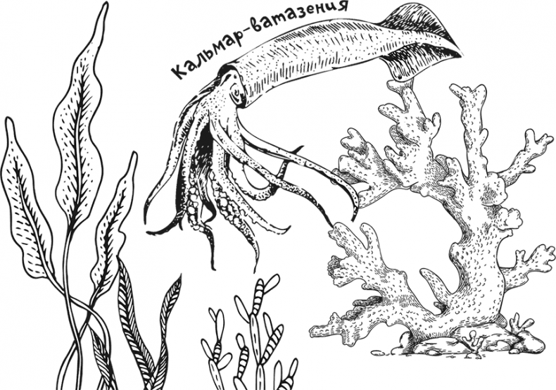 Иллюстрация к книге — «Моревизор» уходит в плавание, или Путешествие в глубь океана [i_089.jpg]