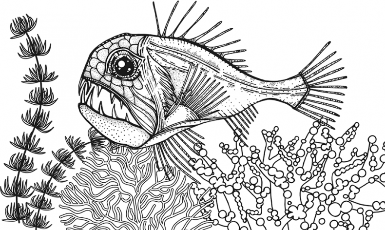 Иллюстрация к книге — «Моревизор» уходит в плавание, или Путешествие в глубь океана [i_103.jpg]