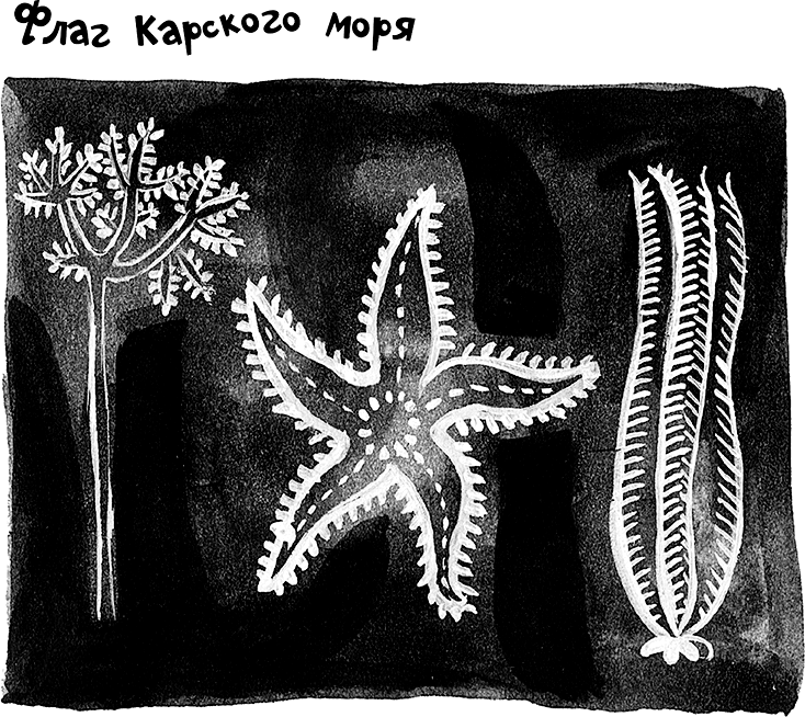 Иллюстрация к книге — «Моревизор» уходит в плавание, или Путешествие в глубь океана [i_126.jpg]