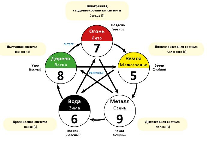 Иллюстрация к книге — Поднебесная страна/ Традиции, культура, праздники, кухня, медицина [i_003.jpg]