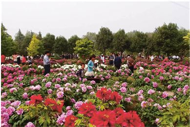 Иллюстрация к книге — Поднебесная страна/ Традиции, культура, праздники, кухня, медицина [i_020.jpg]