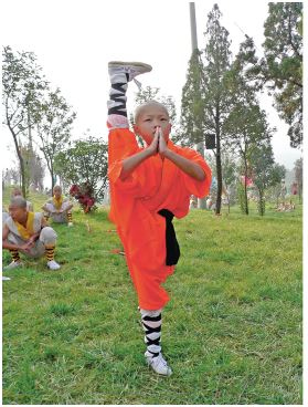 Иллюстрация к книге — Поднебесная страна/ Традиции, культура, праздники, кухня, медицина [i_039.jpg]