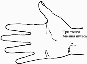 Иллюстрация к книге — Поднебесная страна/ Традиции, культура, праздники, кухня, медицина [i_073.jpg]