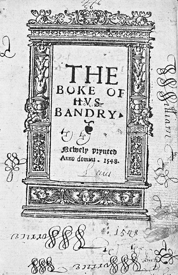 Иллюстрация к книге — Как жить в эпоху Тюдоров. Повседневная реальность в Англии ХVI века [i_001.jpg]