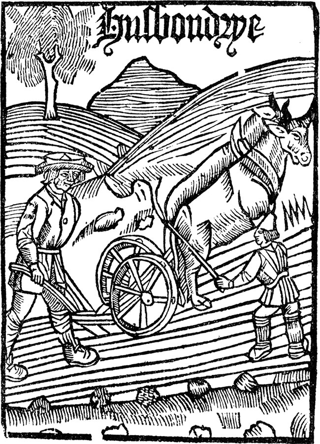 Иллюстрация к книге — Как жить в эпоху Тюдоров. Повседневная реальность в Англии ХVI века [i_013.jpg]