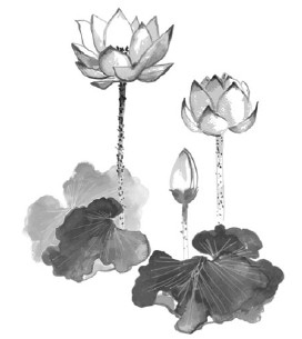 Иллюстрация к книге — Счастье по дзен. Искусство любить то, что есть, и создавать то, что хочется [i_038.jpg]