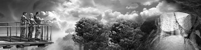 Иллюстрация к книге — Большой лес. Многомерность [i_003.jpg]