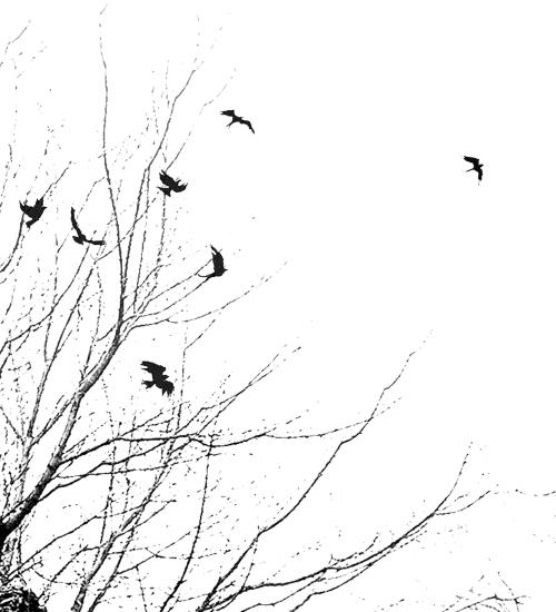 Иллюстрация к книге — Умирать не больно [i_001.jpg]