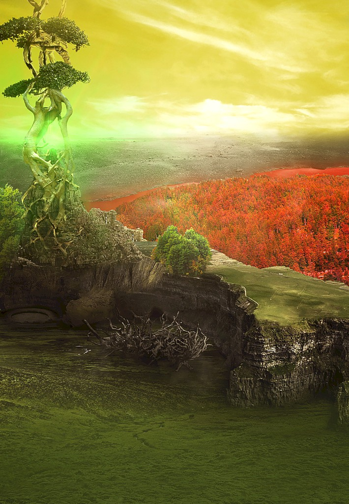 Иллюстрация к книге — Визардус. Магический Мир [i_004.jpg]