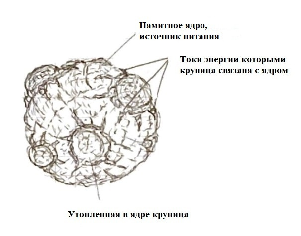 Иллюстрация к книге — Визардус. Магический Мир [i_007.jpg]