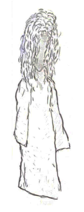 Иллюстрация к книге — Визардус. Магический Мир [i_008.jpg]