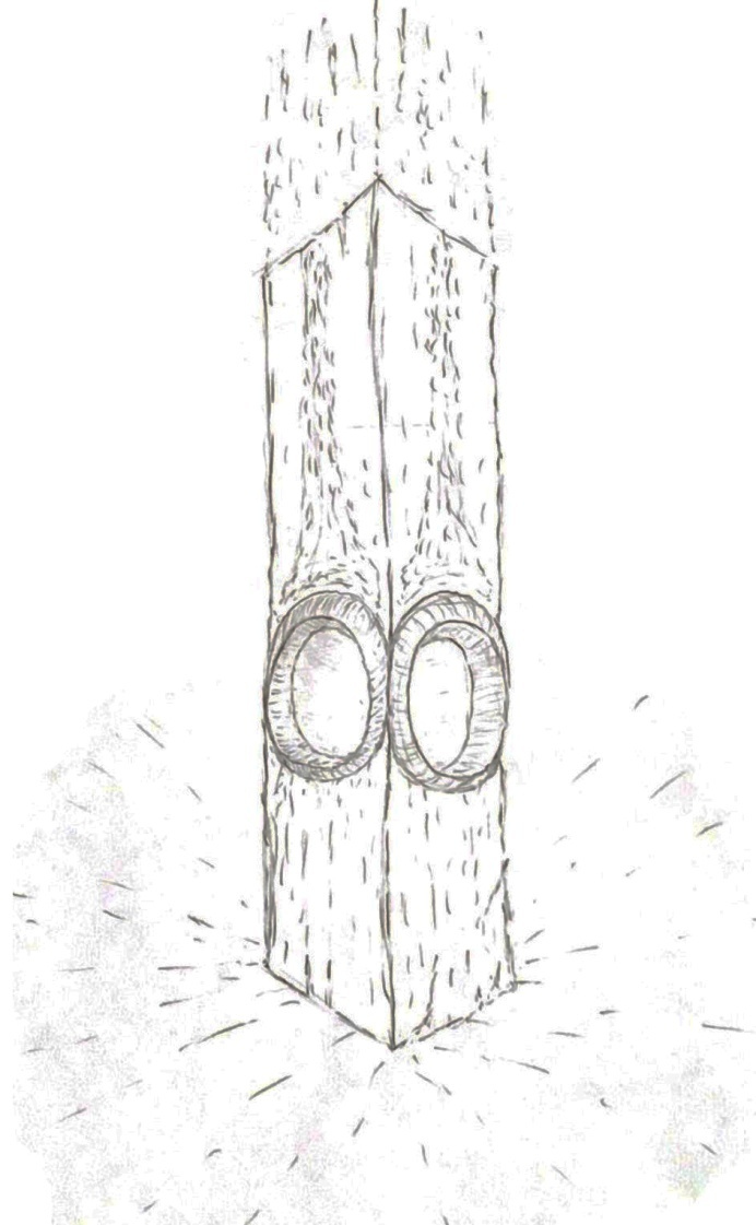 Иллюстрация к книге — Визардус. Магический Мир [i_010.jpg]