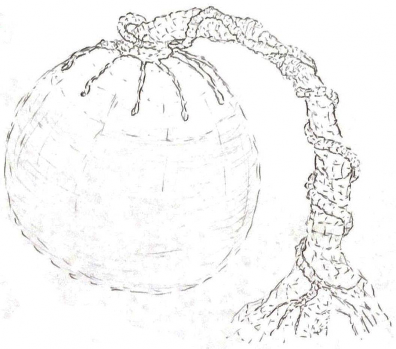 Иллюстрация к книге — Визардус. Магический Мир [i_012.jpg]