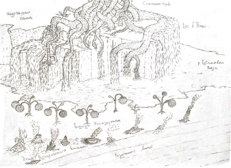 Иллюстрация к книге — Визардус. Магический Мир [i_013.jpg]