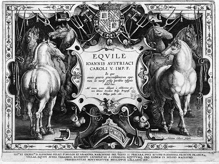 Иллюстрация к книге — Русский всадник в парадигме власти [i_058.jpg]