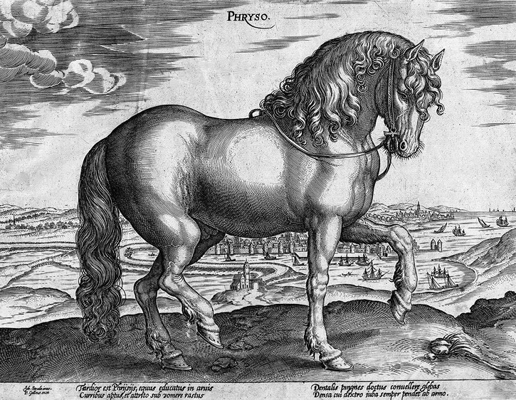 Иллюстрация к книге — Русский всадник в парадигме власти [i_059.jpg]