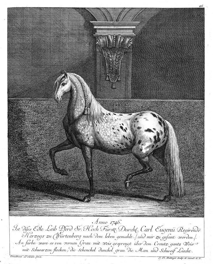 Иллюстрация к книге — Русский всадник в парадигме власти [i_064.jpg]