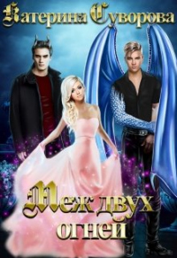 Книга Меж двух огней