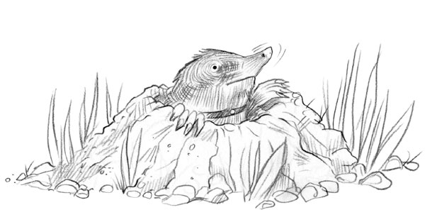 Иллюстрация к книге — Мои жуткие соседи [i_049.jpg]