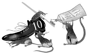 Иллюстрация к книге — Элиотт, который потерялся в библиотеке [i_018.jpg]