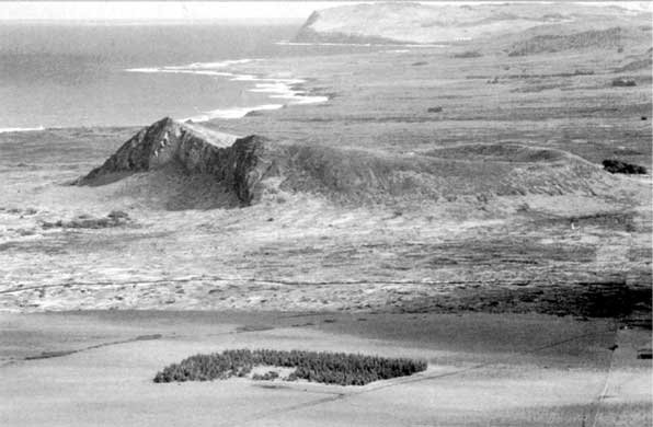 Иллюстрация к книге — Коллапс. Почему одни общества приходят к процветанию, а другие – к гибели [i_018.jpg]