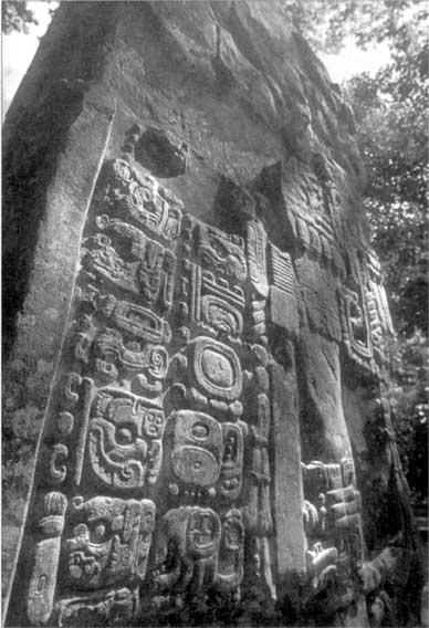 Иллюстрация к книге — Коллапс. Почему одни общества приходят к процветанию, а другие – к гибели [i_025.jpg]